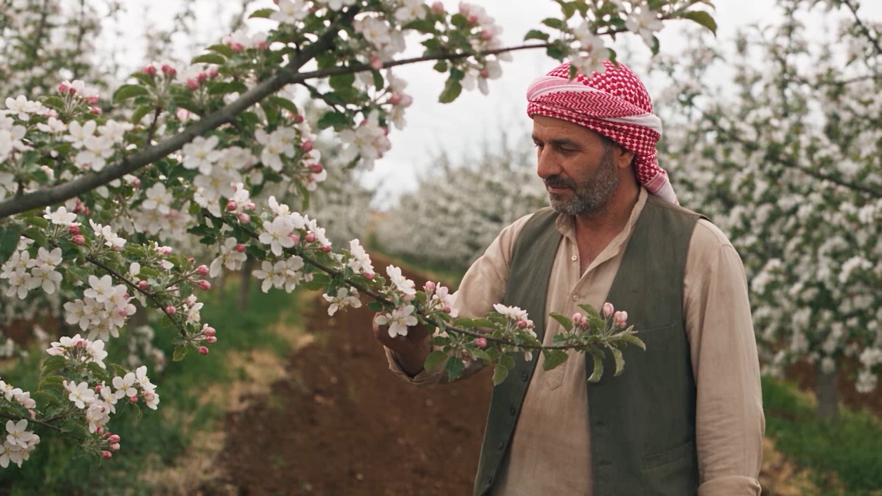 لقطة من فيديو تطبيق الإنذار المبكر